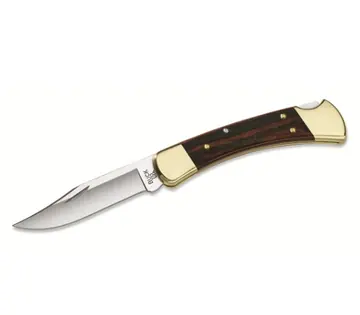 Buck 110 Folding Hunter