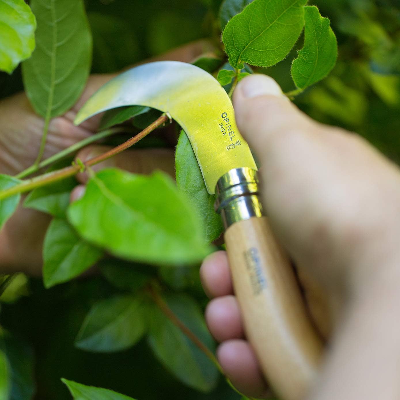 Opinel Coltello da innesto e potatura N°10 - immagine 3