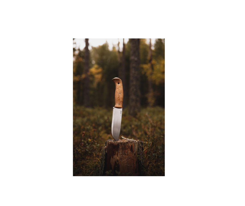 Helle Nord kniv stukket i træstub i skov med træer i baggrunden